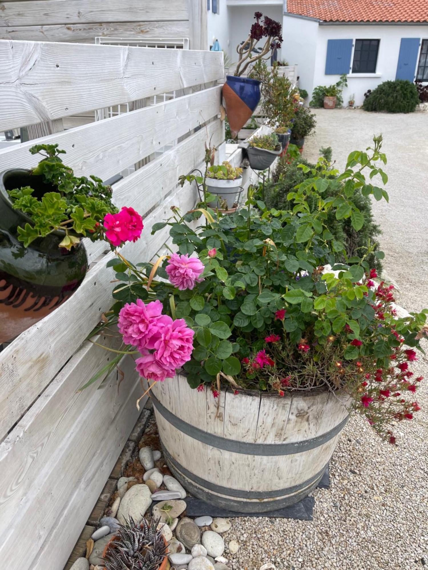 Clos Des Aigrettes -6 Gites De Charme Et Confort A 30M Du Port De La Cotinière Exteriér fotografie
